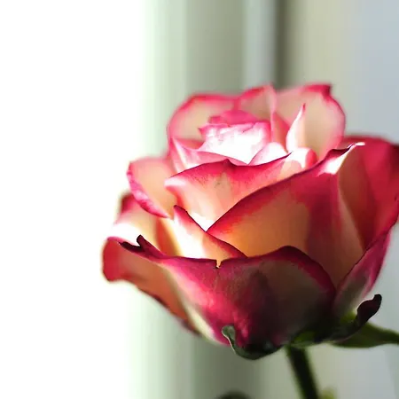 Val Des Roses 3*
